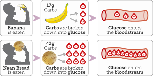 Carbohydrates and Blood Sugar