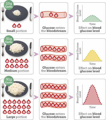 Diagram showing different sized portions of rice and then impact on your blood glucose levels